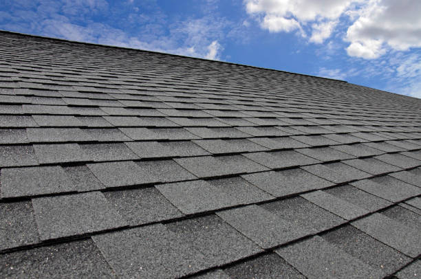 Best Roof Coating and Sealing  in Carrier Mls, IL